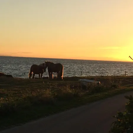 Landejendom بوجنسي